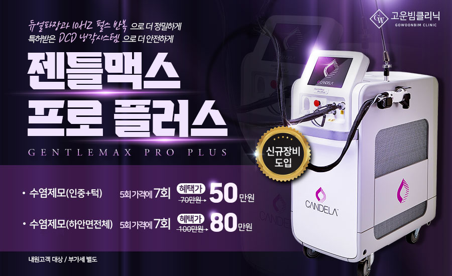 젠틀맥스프로플러스도입