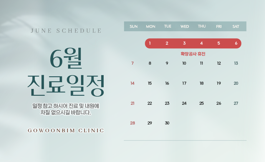 진료일정